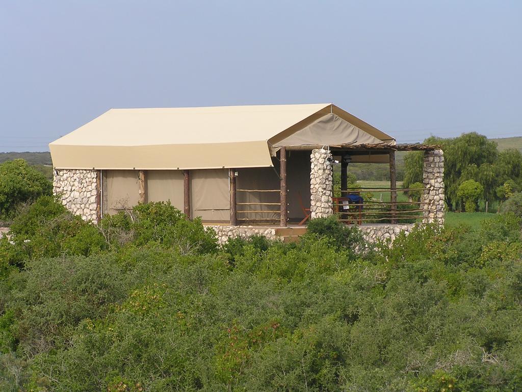 Thali Thali Game Lodge Langebaan Quarto foto